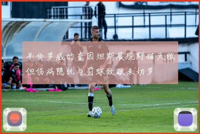 平价罗威的奎因坦斯展现野猫天赋但伤病隐忧与罚球致敬米切罗