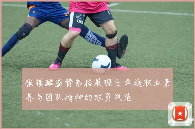 张镇麟盛赞弗格展现出卓越职业素养与团队精神的球员风范